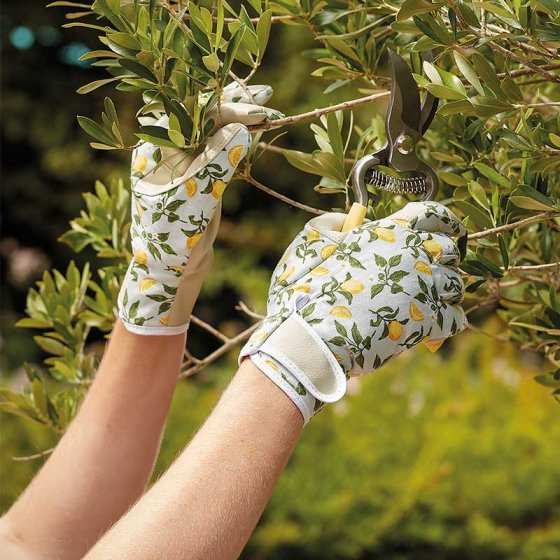 Smart Gardeners Sicilian Lemon Gloves Medium