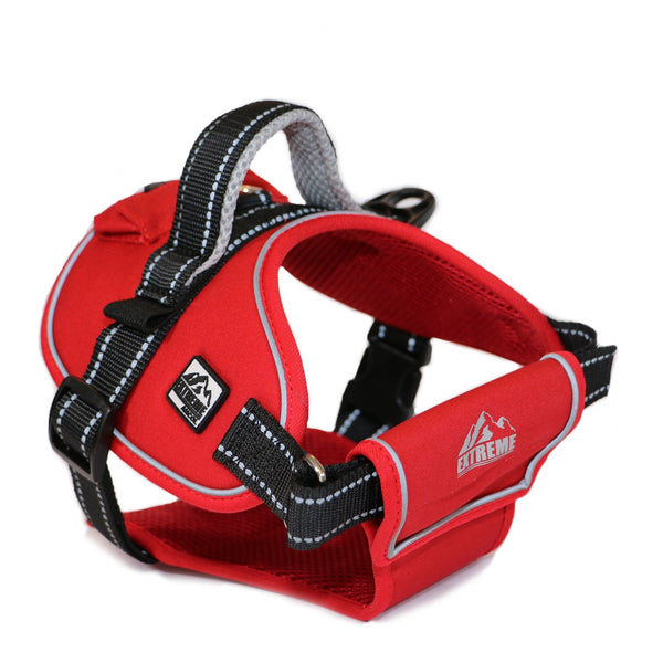 Extreme Harness Red