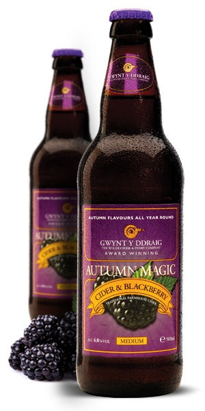 Gwynt y Ddraig Autumn Magic Cider 500ml