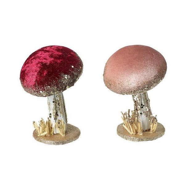 Velvet Mushroom