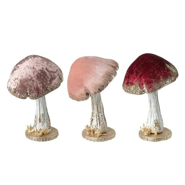 Velvet Mushroom